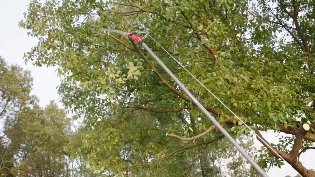Serrote Podador Profissional De Galho Alto 2 Em 1 Poda Com Serrote Podador de Galhos