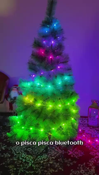 Pisca Pisca 100 Leds 10m Natal Smart Bluetooth USB Avicii Express®  100 Controle 6 Funções IP65 Prova De Água LuvinCo