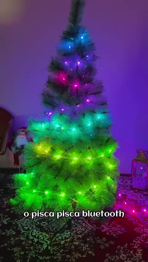 Pisca Pisca 100 Leds 10m Natal Smart Bluetooth USB Avicii Express®  100 Controle 6 Funções IP65 Prova De Água LuvinCo