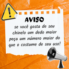 Chinelo Flavio Bolsonaro mito presente promoção